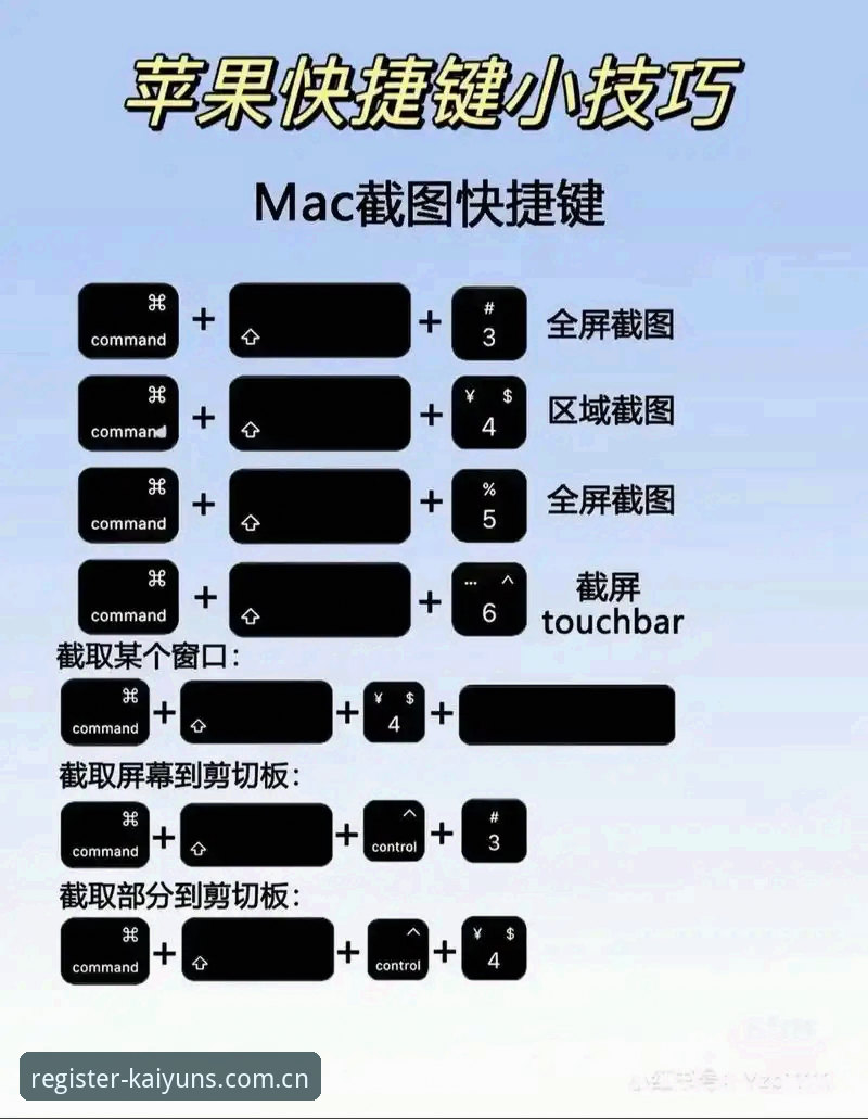 kaiyun电脑版操作教程：从下载到极致赛事体验的全流程指南